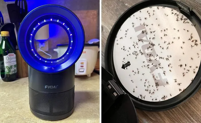 This <span Style="Font:inherit;color:#d74b1f;"> Indoor Fly Trap </Span> Is A Huge Improvement On The Gross Yellow Traps Of Yesteryear 