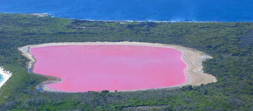 Australia Has Multiple Pink Lakes!