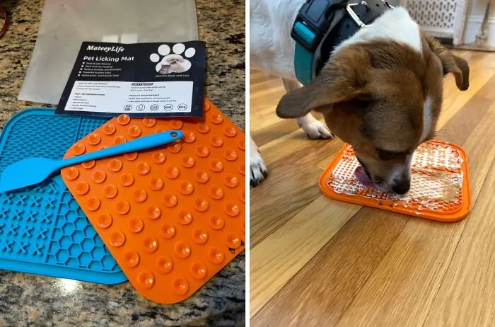 Keep Those Tongues And Tails Wagging With This <span Style="Font:inherit;color:#d74b1f;"> Lick Mat For Dogs And Cats  </Span>