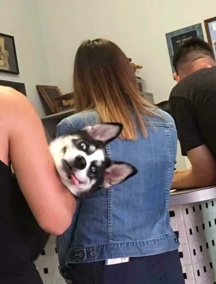 In Front Of Me In Line To Sign In At A Vet Office