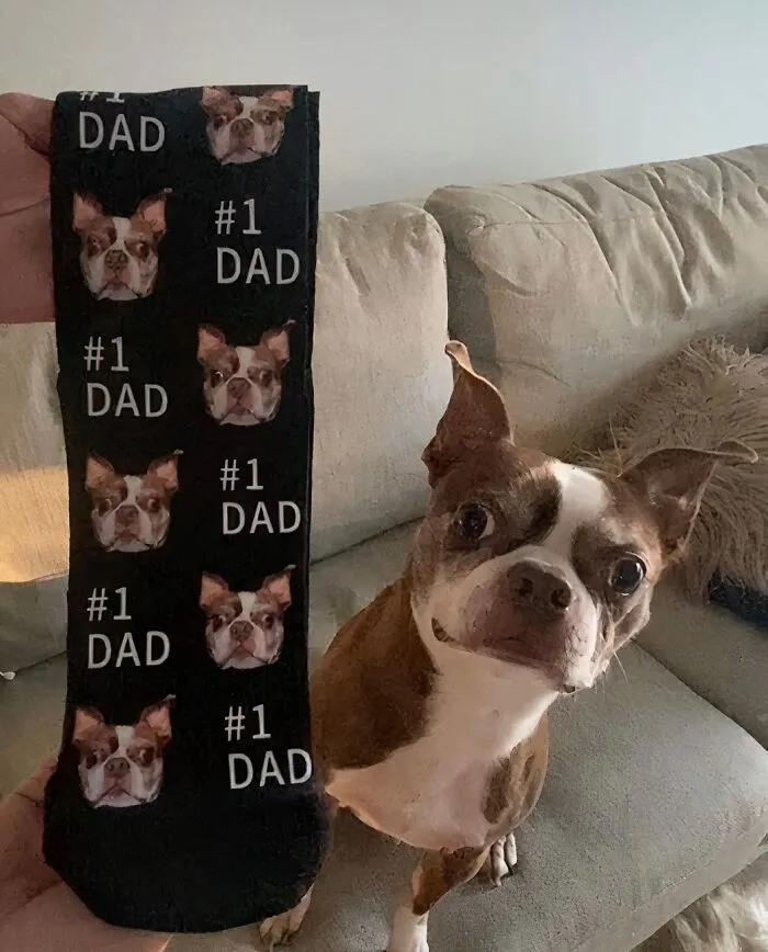 Let's Face It, These Customizable <span Style="Font:inherit;color:#d74b1f;"> Pet Socks </Span> Are The Cutest Gifts!