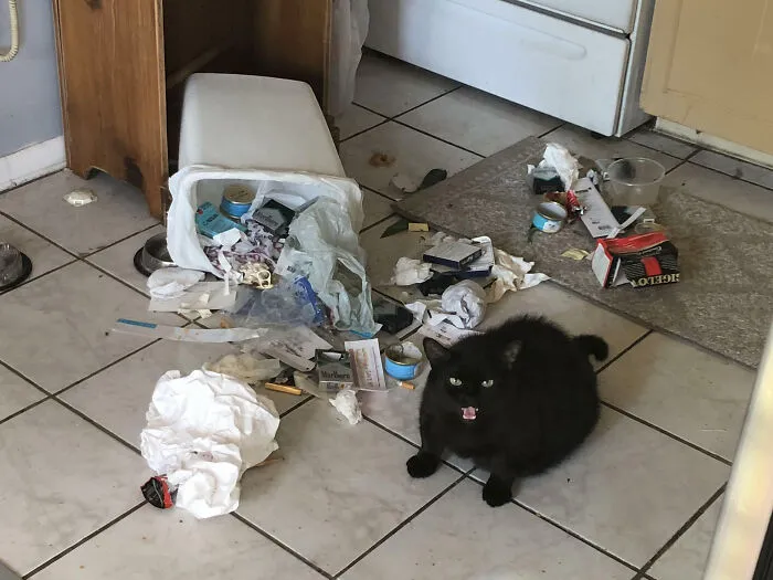He’s On A Diet. It’s Not Going Great