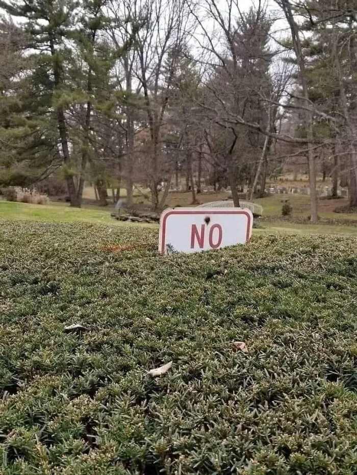 30 Carteles tan divertidos como absurdos que había que compartir