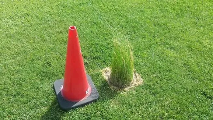 Para qué mover el cono para cortar el césped