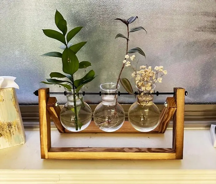 This <span Style="Font:inherit;color:#d74b1f;"> Plant Terrarium </Span> Is 50% Science, 50% Sophistication 