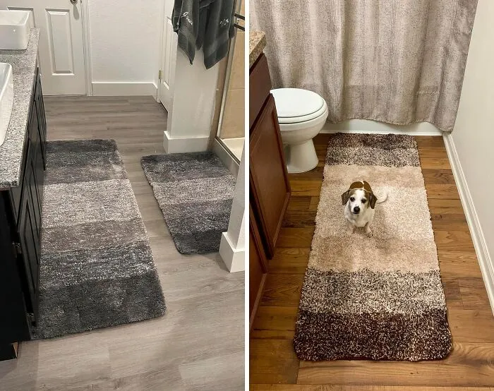 A Good <span Style="Font:inherit;color:#d74b1f;"> Microfiber Rug </Span> Adds Just The Right Amount Of Cozy To Your Bathroom