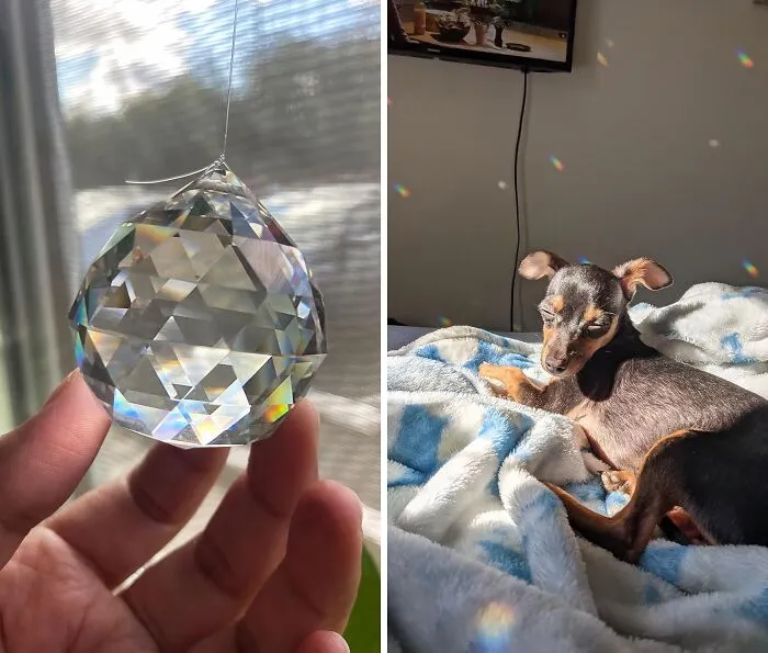 This <span Style="Font:inherit;color:#d74b1f;"> Crystal Ball Suncatcher </Span> Shows That You Don't Take Yourself Too Seriously