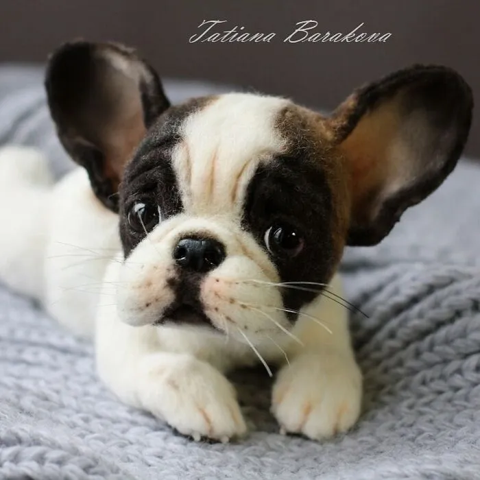 This Artist Makes Felted Wool Animals Through Needle Felting (21 New Pics)