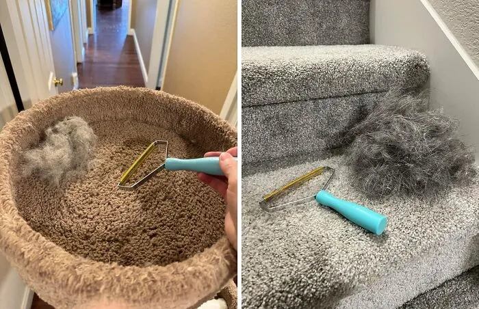 Spend Less Time Cleaning Up After Your Pet Than Actually Playing With Them Thanks To This<span Style="Font:inherit;color:#d74b1f;"> Pet Hair Removal Brush </Span>