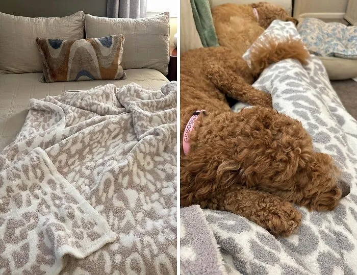 Good Luck Getting Off The Couch Once You Are Snug In This<span Style="Font:inherit;color:#d74b1f;"> Large Plush Blanket </Span>