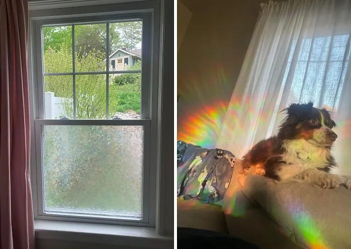 <a Style="Display:inline;" Href="Https://Www.amazon.com/Rabbitgoo-Privacy-Rainbow-Decorative-Non-Adhesive/Dp/B01n20yr6b?crid=1r15xysqpud17&dib=eyj2ijoimsj9.0_ukufuuz8j8g5dstjwggdimba-Eoccd2qgj1jg5vwkfqovd8ya7v5gpkp-Inoffc0xkunjnq_wf724hlc9jfsugjaajvhswyr8bpucuvocmwzng4hzovgkyhqv7epbebeqepthmgrakr-6uccky2dq6wn12cb9meiugawuuhmljyhyfpq-Nzieuloqmdanw-Cqok5wqzw2h-B0raxlk0w-Pdplv9-0rpbkigcu3miwhfmdk7u8rmc35bdhcna2cwn0fbi9wdvezalnaocbzkgt4isrubrnrh1hwebaitd8.9zyirfhqmsdisutkrai5plogboukzj2oubs8hpoh-Iu&dib_tag=se&keywords=rainbow%2bwindow&qid=1716283810&sprefix=rainbow%2bwindo%2caps%2c180&sr=8-6&th=1&linkcode=ll1&tag=bpfish-20&linkid=ccec86913ab16aa79b0bc03037f1b5cf&language=en_us&ref_=as_li_ss_tl" Target="_blank"><span Style="Font:inherit;color:#d74b1f;"> Rainbow Privacy Film </Span> Keeps Curious Eyes Out But Also Adds Bursts Of Color To Your Room When The Sun Is Out