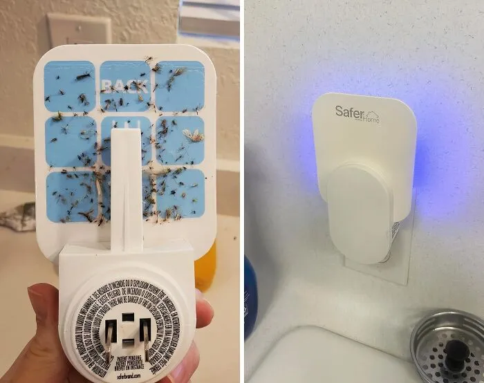 This <span Style="Font:inherit;color:#d74b1f;"> Indoor Plug-In Fly Trap </Span> Hides All The Evidence 