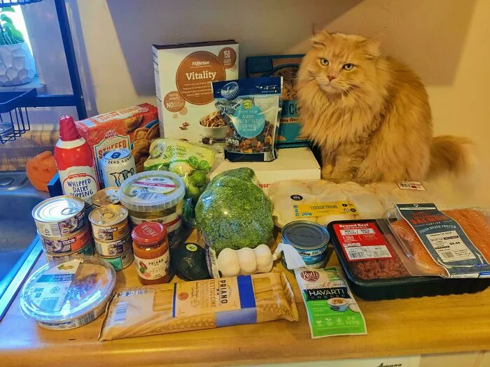 Aldi - Florida $78