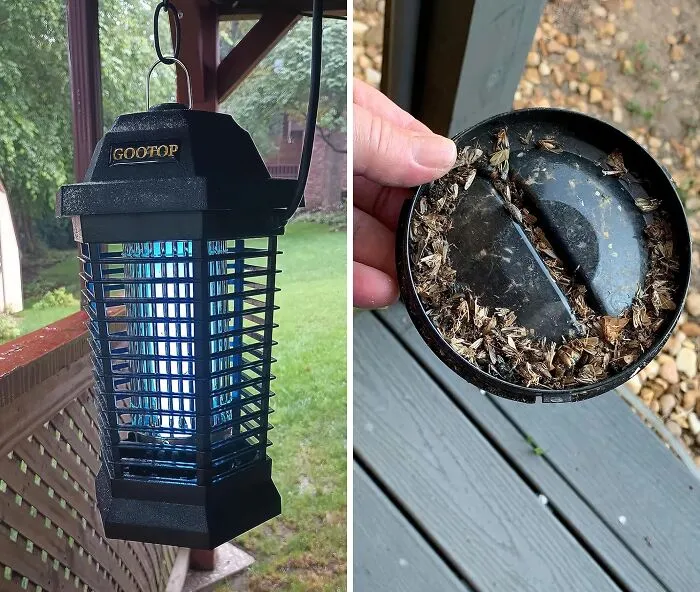 A <span Style="Font:inherit;color:#d74b1f;"> Bug Zapper  </Span> Is ASMR For Outdoorsy People