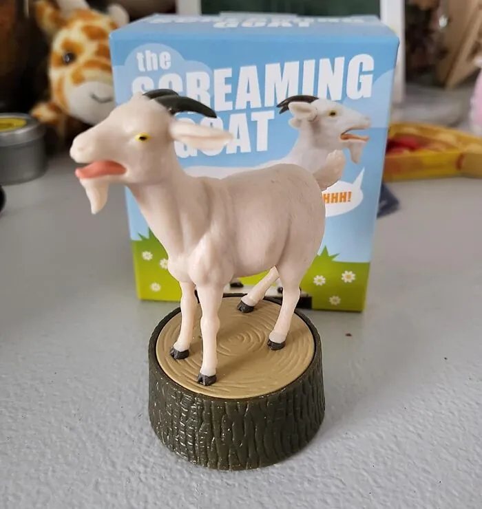 Sometimes Only The <span Style="Font:inherit;color:#d74b1f;"> The Screaming Goat </Span> Will Understand Your Frustration