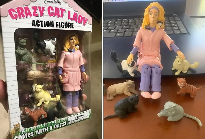 <span Style="Font:inherit;color:#d74b1f;"> Crazy Cat Lady Action Figure </Span>: Although, Crazy Cat Lady Has Become More Of A Goal Than An Insult