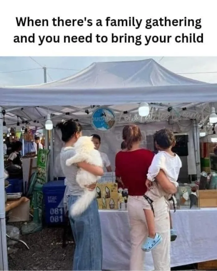 50 Hilariously Random Memes About Everything And Anything