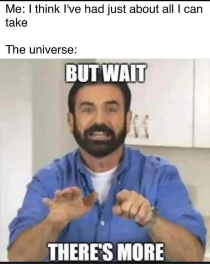 50 Hilariously Random Memes About Everything And Anything