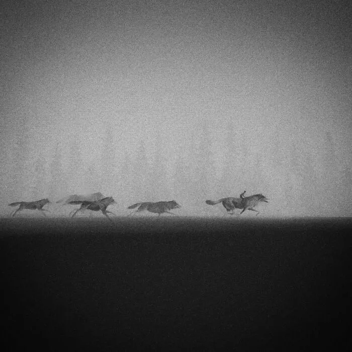Artist Creates Black-And-White Paintings Reflecting The Bond Between Humans, Nature, And Animals (30 Pics)