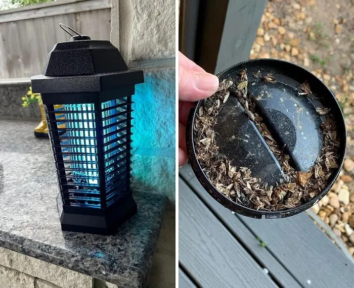 Enjoy Those Insect-Free Evenings Outside With Some Help From This <span Style="Font:inherit;color:#d74b1f;"> Outdoor Bug Zapper</Span>