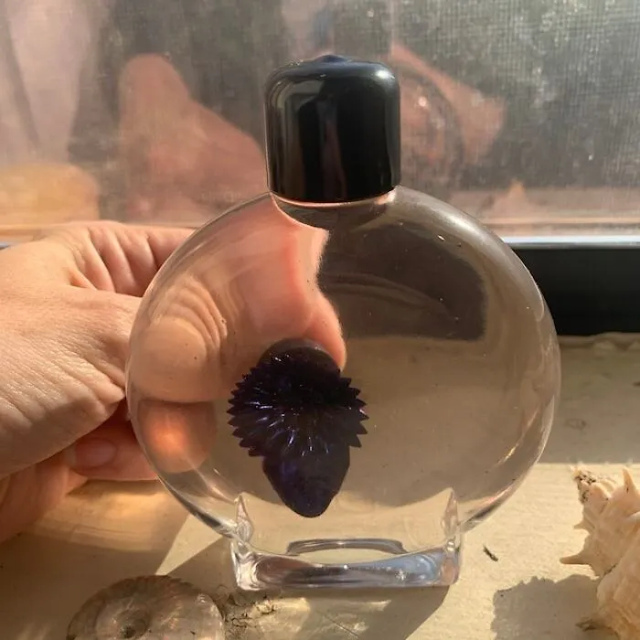 <span Style="Font:inherit;color:#d74b1f;"> Ferrofluid In A Bottle </Span> Looks Like Something You Would Find In The Defence Against The Dark Arts Classroom