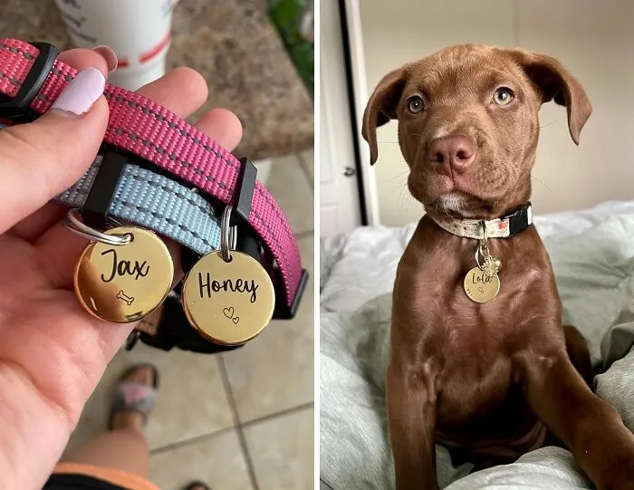 Discover The Magic Of <span Style="Font:inherit;color:#d74b1f;"> Personalized Pet ID Tag</Span>! Keep Your Four-Legged Friends Safe, Stylish, And Extra-Lovely