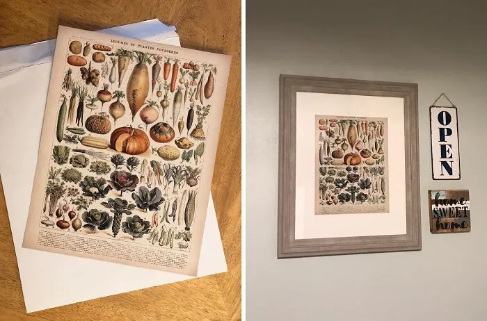 Cultivate A Retro Vibe In Your Kitchen With This Delightful <a Style="Display:inline;" Href="Https://Www.amazon.com/Antique-Heirloom-Vegetables-Unframed-Kitchen/Dp/B0716h9sbl?crid=3gvb2tygwrnff&dib=eyj2ijoimsj9.b0u2wtarbhfdy_g47nzatmnkjp1gyuyggigmkqkeedl-U5pipe-Itbyvw7f1yadxpwimgcvl7mq0_seagojzlqie1uuezep_u5qnb34phnwnpdniayf6jw0keroecqd-F4egyt8qxgttyedboqqpjzfsew68ski86errhi7qhqsl8vhfu40srqkzy9i9it_ycwpi0j4poi7oztlp5tfidzbn6yywde2xfbnfvmyympwnftv5tkhaieldaigsu3acbe_daxox9kri6dilxrk24zowjbniucpzkceyw9chfmu.7ewbidovu-Zmruu2huwzdqgki3yuq5n-Hv7yhrgnvjc&dib_tag=se&keywords=affordable+kitchen+decor&qid=1716969035&sprefix=affordable+kitchen+dec%2caps%2c231&sr=8-231&linkcode=ll1&tag=bppanda-20&linkid=36c23749936622c17dc09481322106e0&language=en_us&ref_=as_li_ss_tl" Target="_blank"><span Style="Font:inherit;color:#d74b1f;"> Vegetables Art Poster</Span>