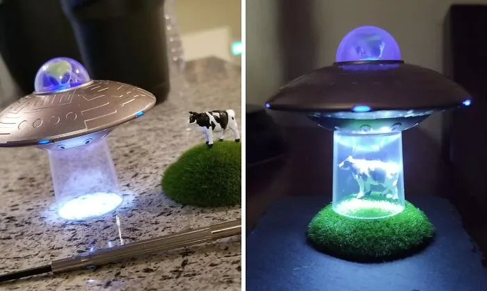 <a style="display:inline;" href="https://www.amazon.com/UFO-Cow-Abduction-Bovine-Light/dp/0762493410?ie=UTF8&linkCode=ll1&tag=bphawk-20&linkId=67098964df9357ee54380d3f158fa14e&language=en_US&ref_=as_li_ss_tl " target="_blank"> <span Style="Font:inherit;color:#d74b1f;"> Cow And UFO </Span>: Undeniably Funny Office Decor