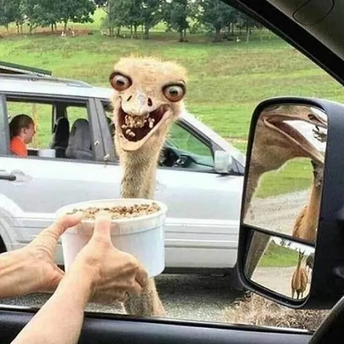 Just 30 Hilariously Random Posts Shared On This Insta Account (New Pics)