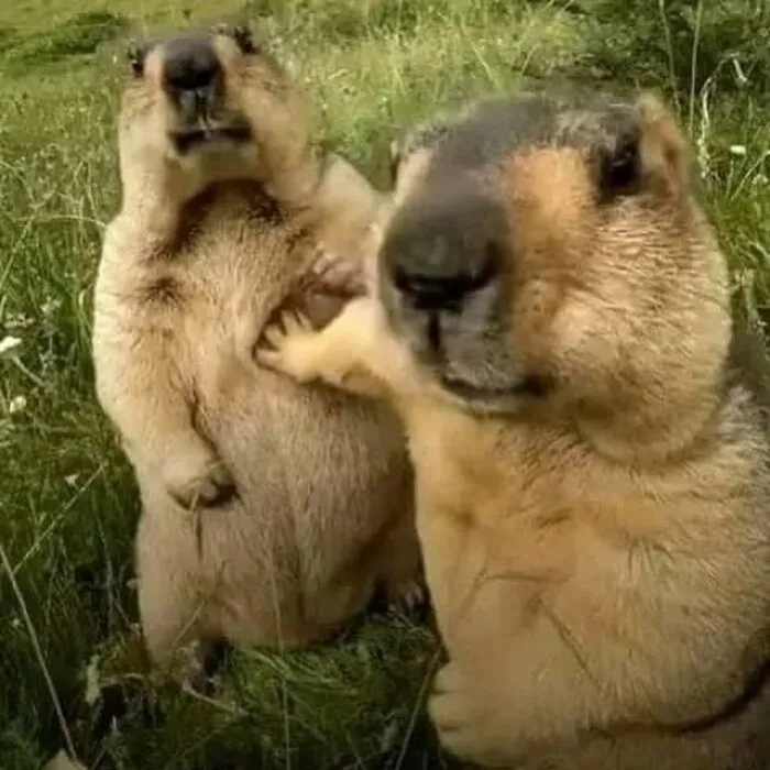 Just 30 Hilariously Random Posts Shared On This Insta Account (New Pics)