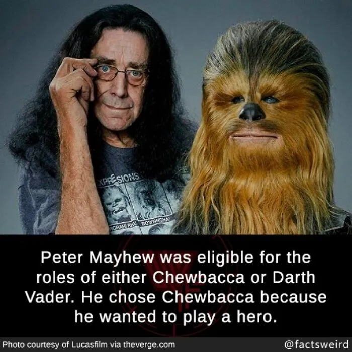 50 “Weird Facts” That You Might Not Have Known Before Today (New Pics)