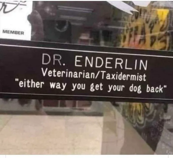 Veterinario / Taxidermista