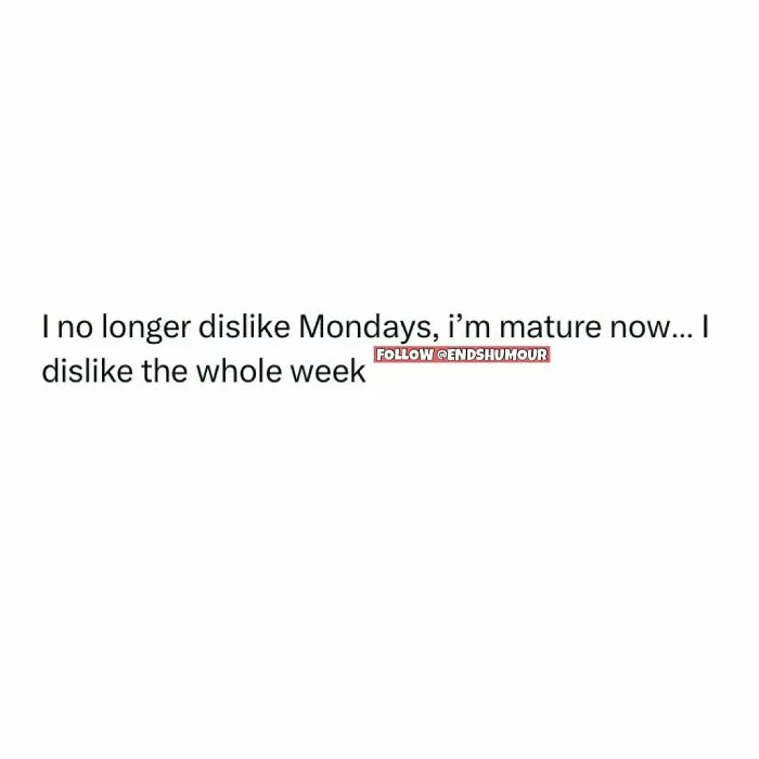 94 Hilariously Relatable Jokes And Thoughts About Anything And Everything (New Pics)