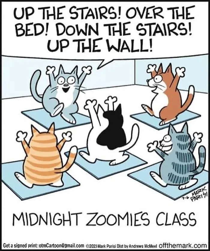 This Artist Sums Up Life With A Cat In His 40 Funny Cartoons