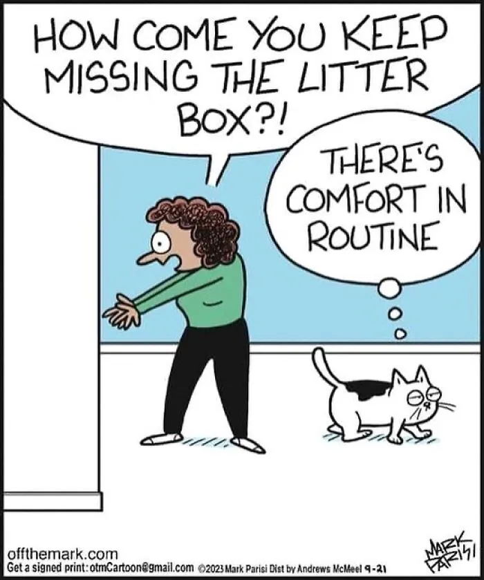This Artist Sums Up Life With A Cat In His 40 Funny Cartoons