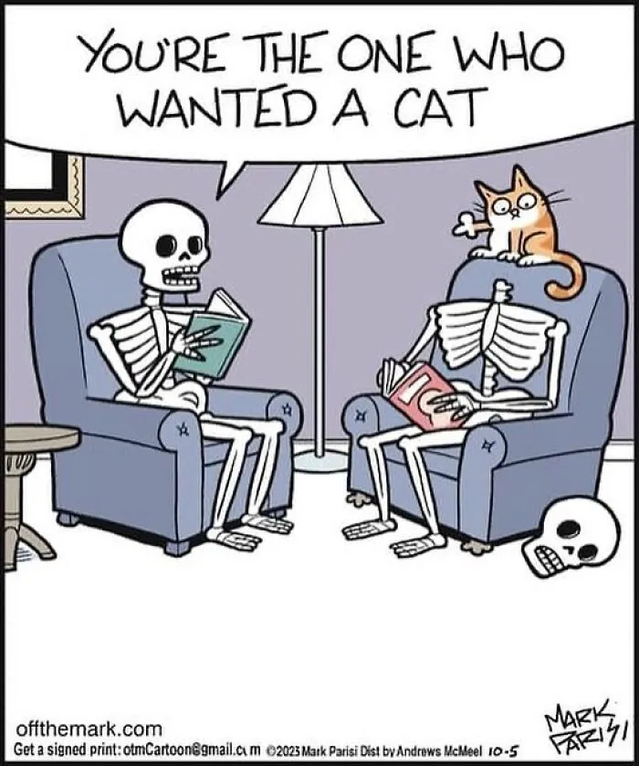 This Artist Sums Up Life With A Cat In His 40 Funny Cartoons