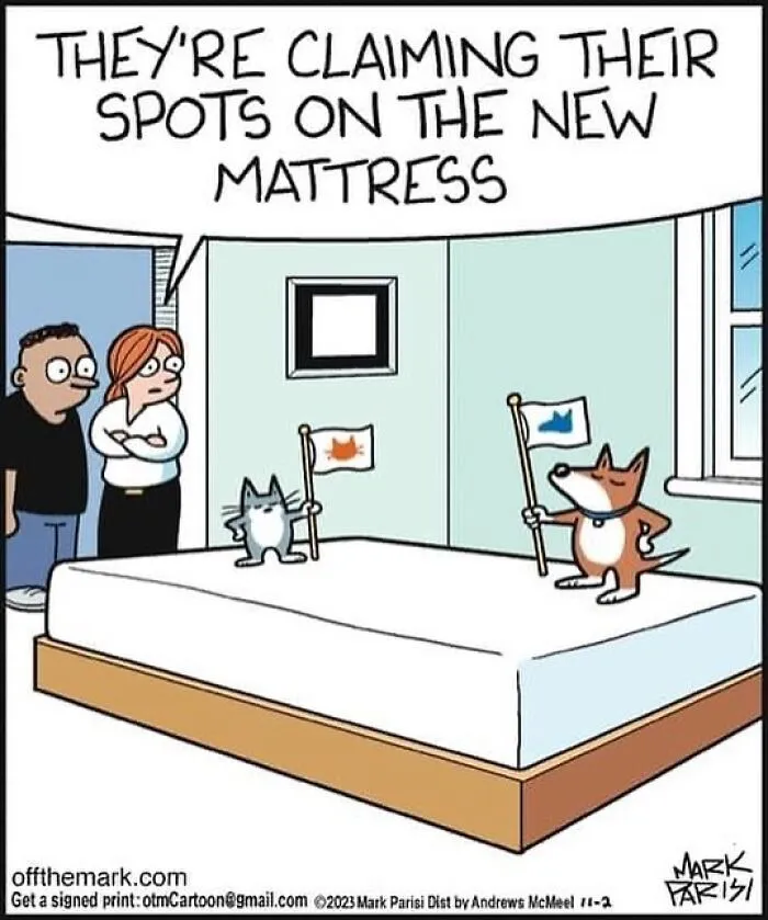 This Artist Sums Up Life With A Cat In His 40 Funny Cartoons