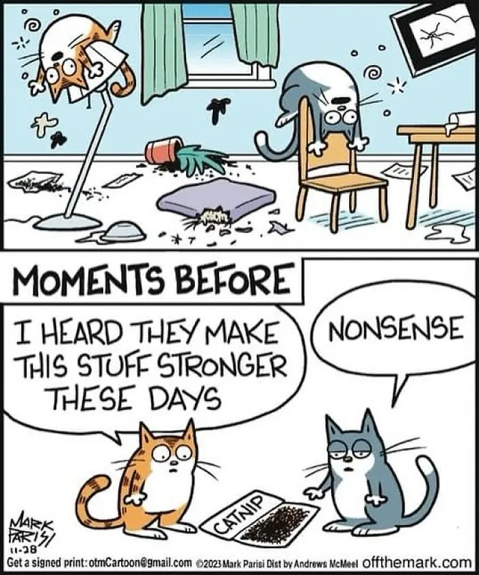 This Artist Sums Up Life With A Cat In His 40 Funny Cartoons