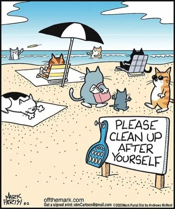 This Artist Sums Up Life With A Cat In His 40 Funny Cartoons