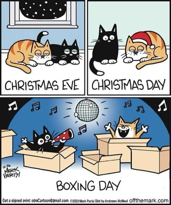 This Artist Sums Up Life With A Cat In His 40 Funny Cartoons