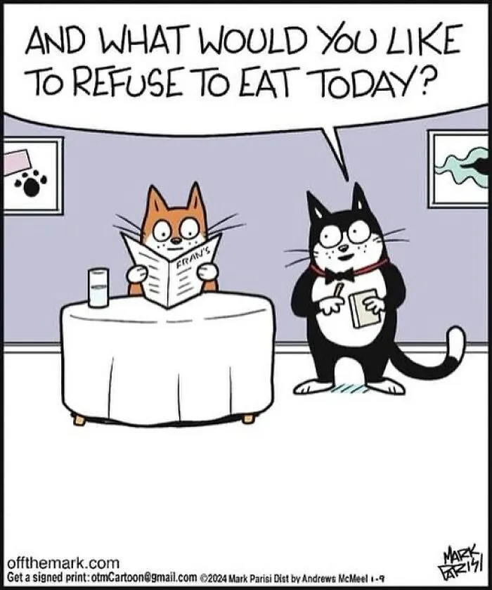 This Artist Sums Up Life With A Cat In His 40 Funny Cartoons