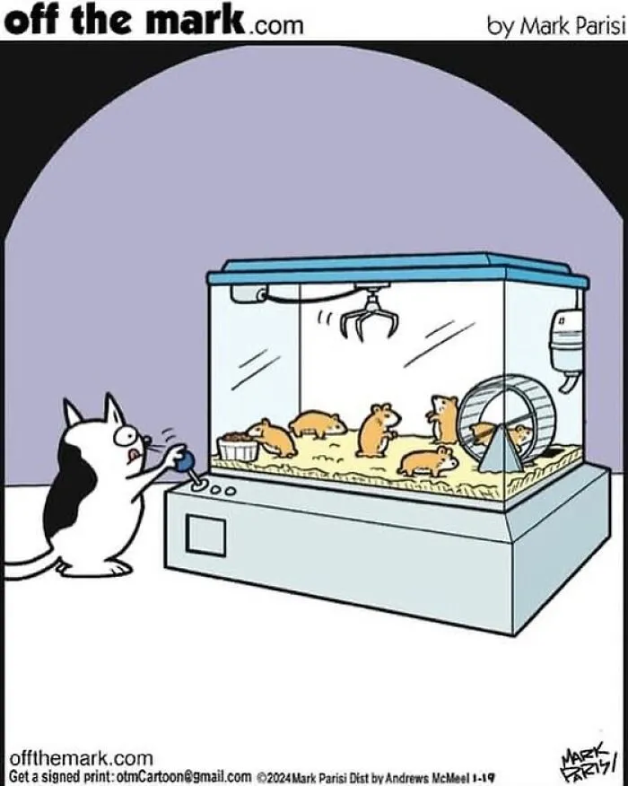 This Artist Sums Up Life With A Cat In His 40 Funny Cartoons