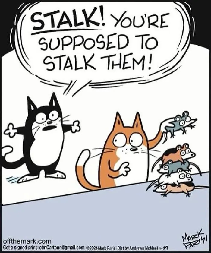 This Artist Sums Up Life With A Cat In His 40 Funny Cartoons