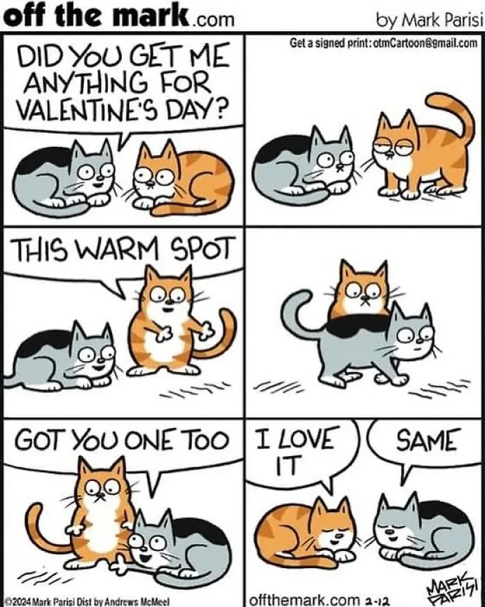 This Artist Sums Up Life With A Cat In His 40 Funny Cartoons