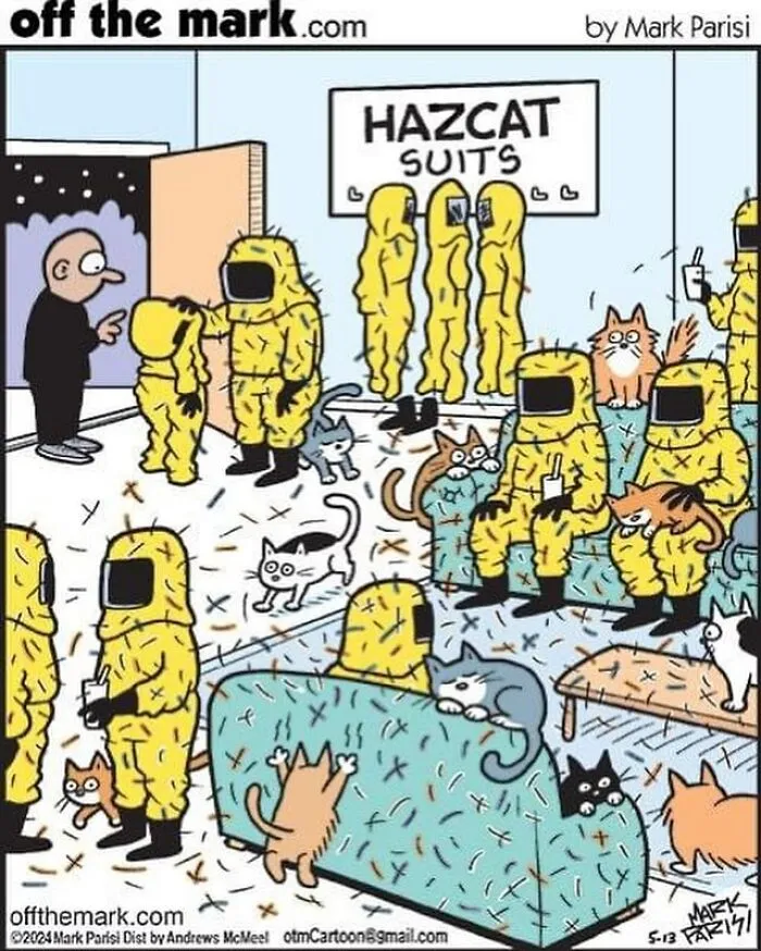 This Artist Sums Up Life With A Cat In His 40 Funny Cartoons