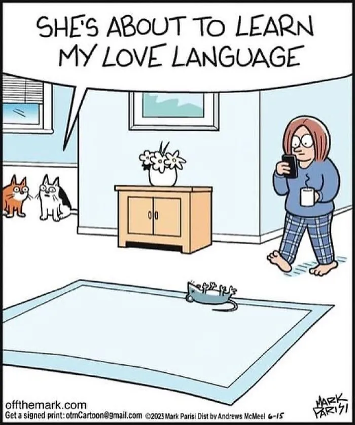 This Artist Sums Up Life With A Cat In His 40 Funny Cartoons