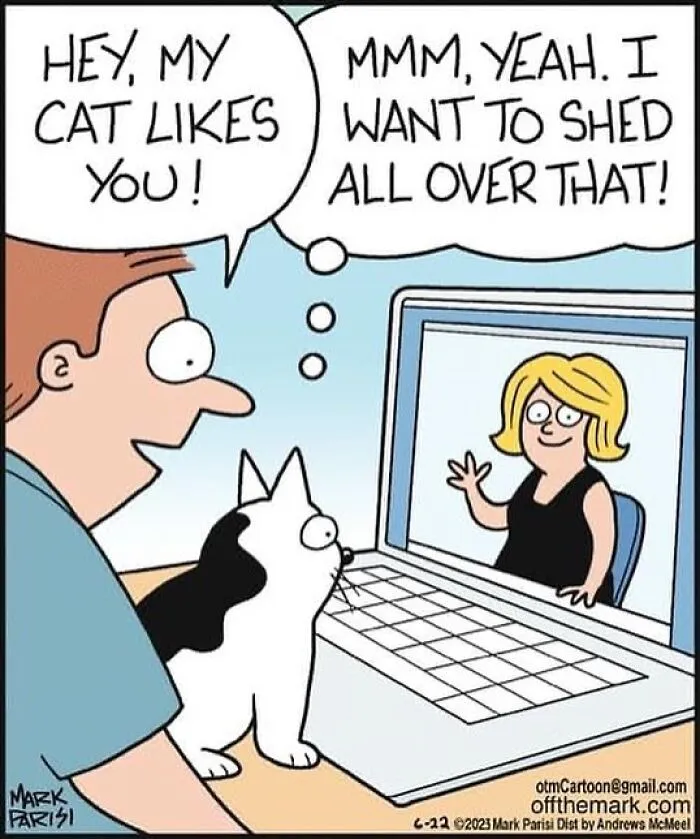This Artist Sums Up Life With A Cat In His 40 Funny Cartoons