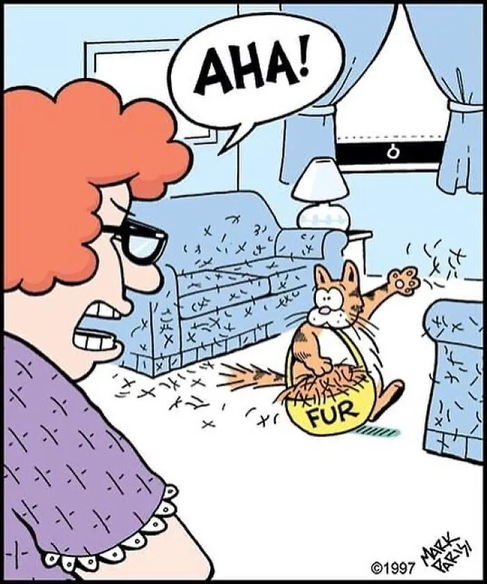 This Artist Sums Up Life With A Cat In His 40 Funny Cartoons