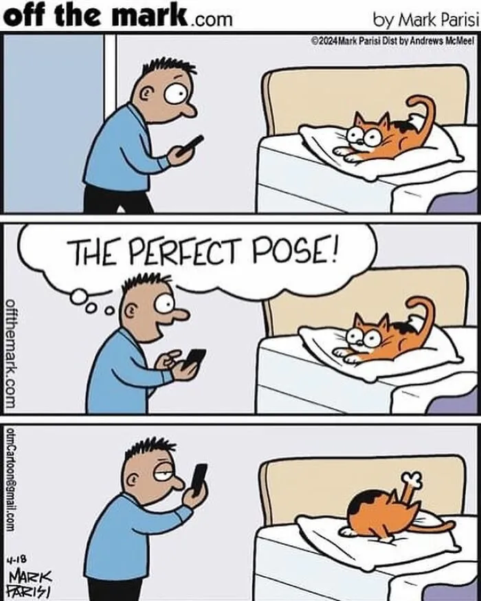 This Artist Sums Up Life With A Cat In His 40 Funny Cartoons