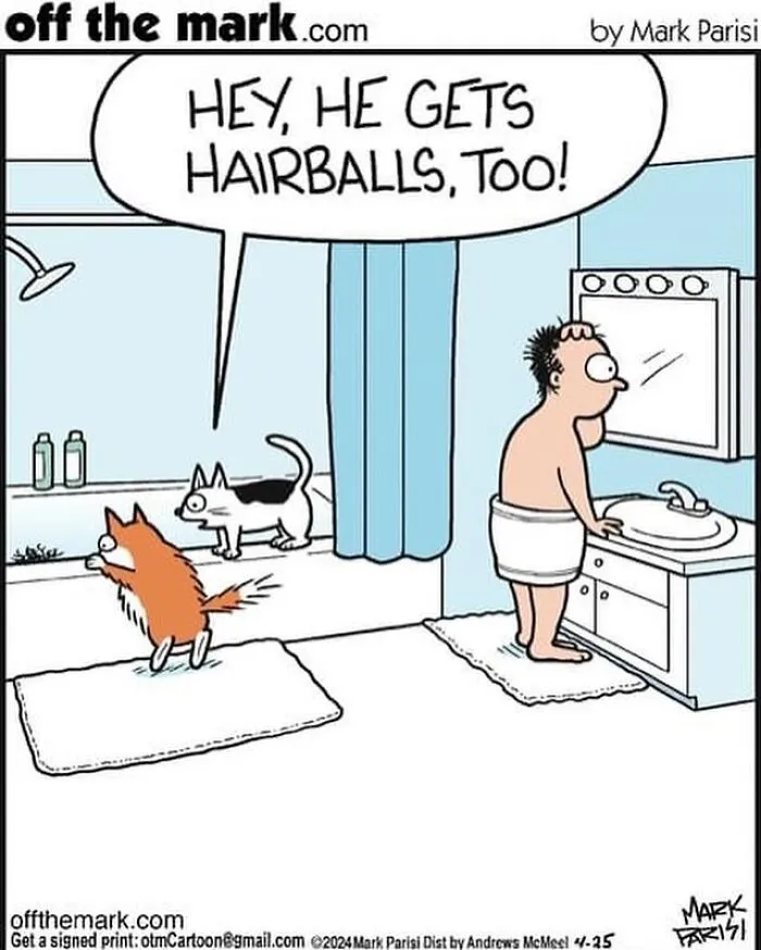 This Artist Sums Up Life With A Cat In His 40 Funny Cartoons
